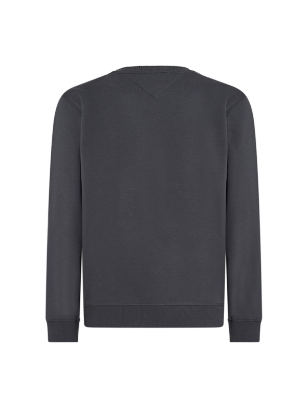 Sudadera TOMMY JEANS DM0DM09591