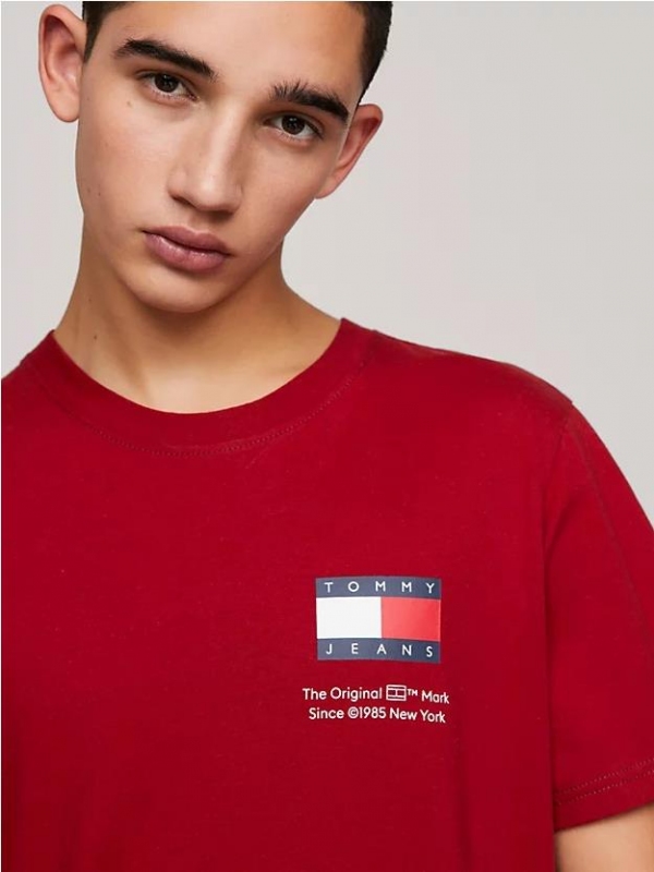Camiseta TOMMY JEANS DM0DM18263