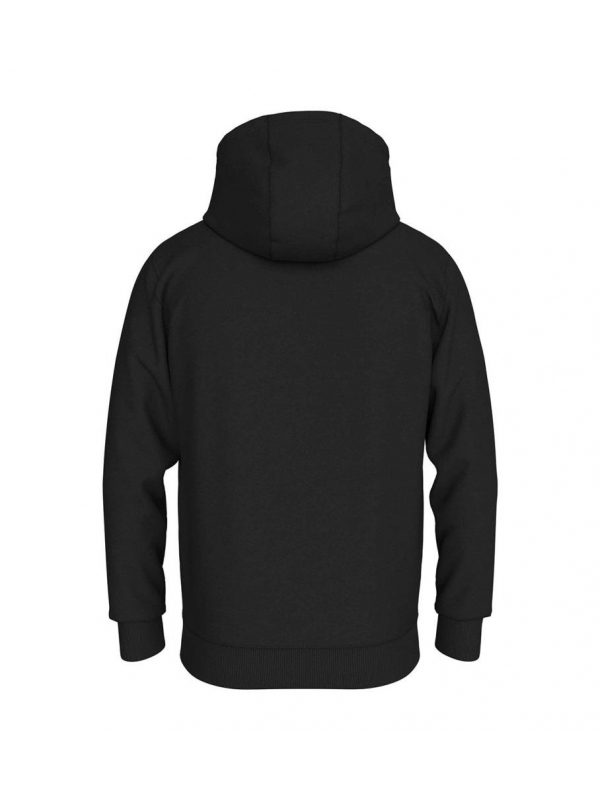 Sudadera TOMMY JEANS DM0DM17985