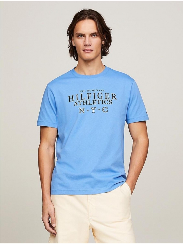 Camiseta TOMMY HILFIGER 2