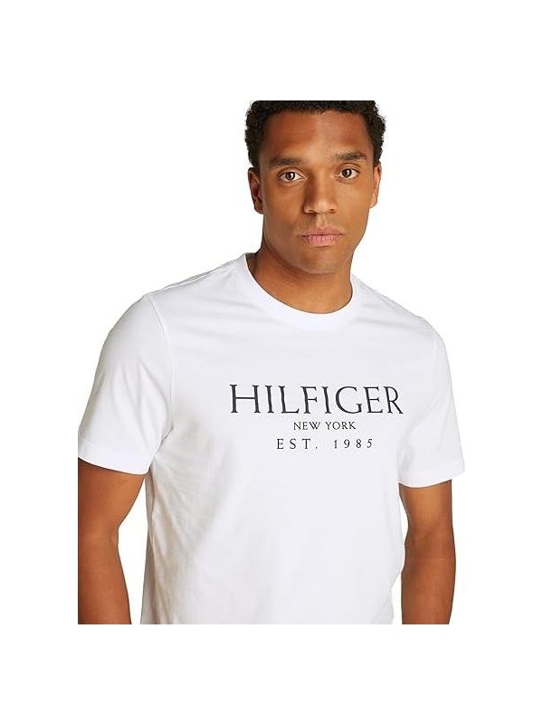 Camiseta TOMMY HILFIGER MW0MW36499