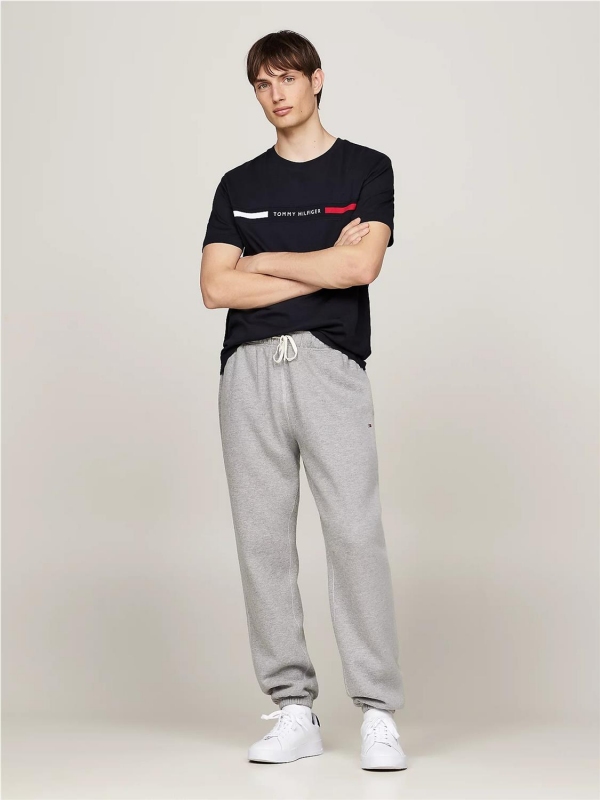 Camiseta TOMMY HILFIGER MW0MW36498