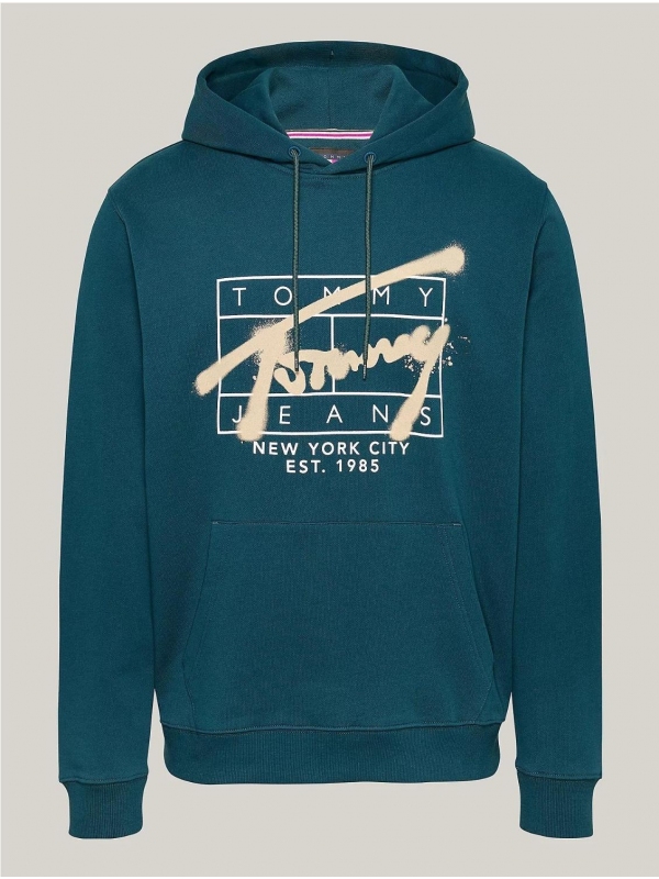 Sudadera TOMMY HILFIGER DM0DM20593