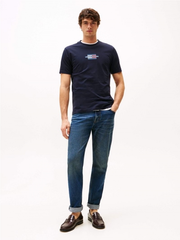 Camiseta TOMMY HILFIGER MW0MW38636