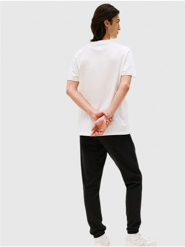 Camiseta TOMMY JEANS DM0DM21978