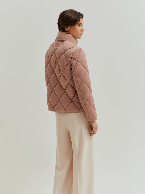 Chaqueta LION OF PORCHES LP006631