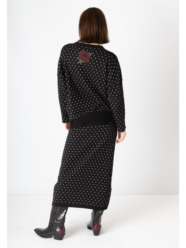 Jersey ANIMOSA C20-884B