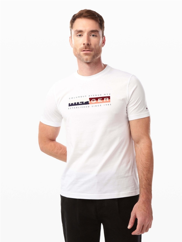 Camiseta TOMMY HILFIGER MW0MW40014