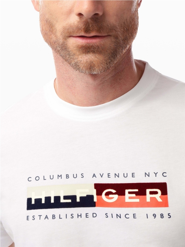 Camiseta TOMMY HILFIGER MW0MW40014