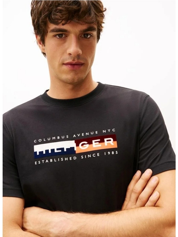 Camiseta TOMMY HILFIGER MW0MW40014