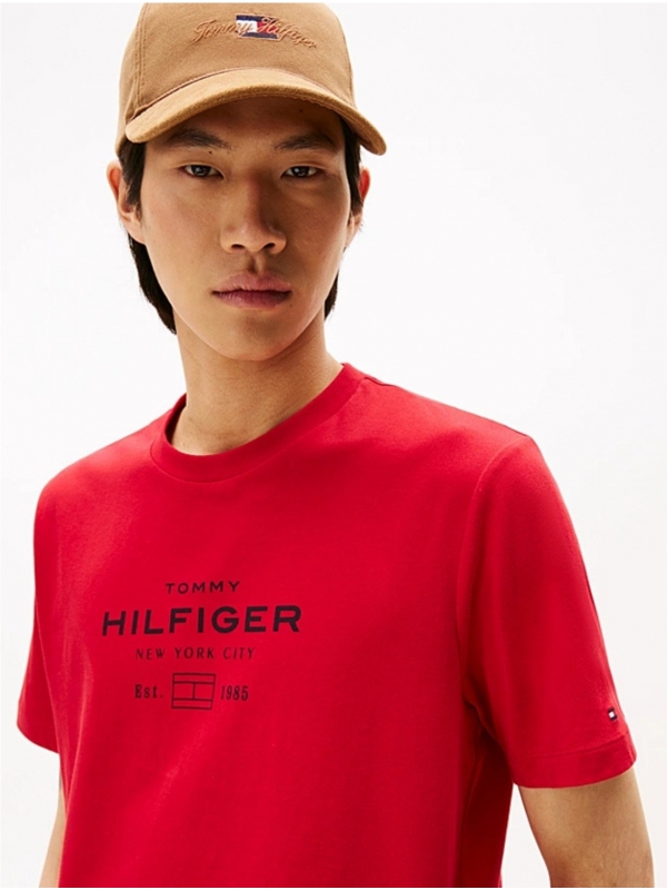 Camiseta TOMMY HILFIGER MW0MW40002