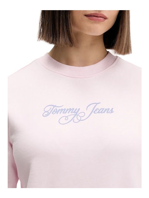 Sudadera TOMMY JEANS DW0DW21922