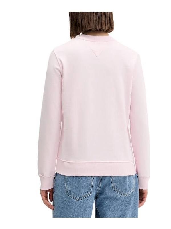 Sudadera TOMMY JEANS DW0DW21922