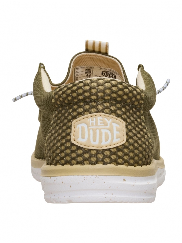 Zapatos HEY DUDE HD45301