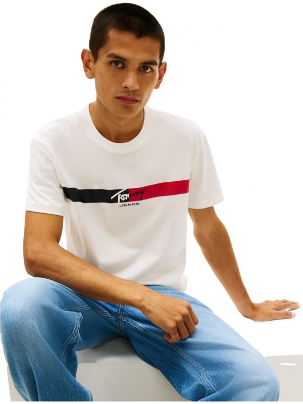 Camiseta TOMMY JEANS DM0DM22539