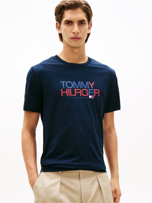 Camiseta TOMMY HILFIGER MW0MW42369