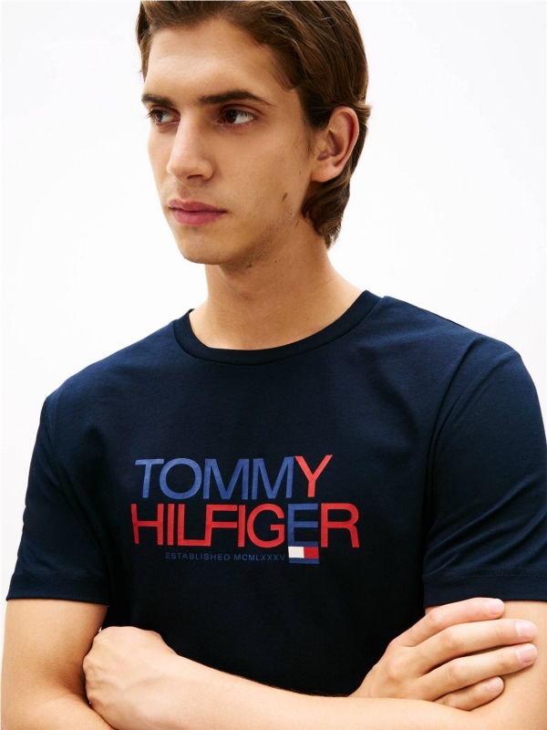 Camiseta TOMMY HILFIGER MW0MW42369