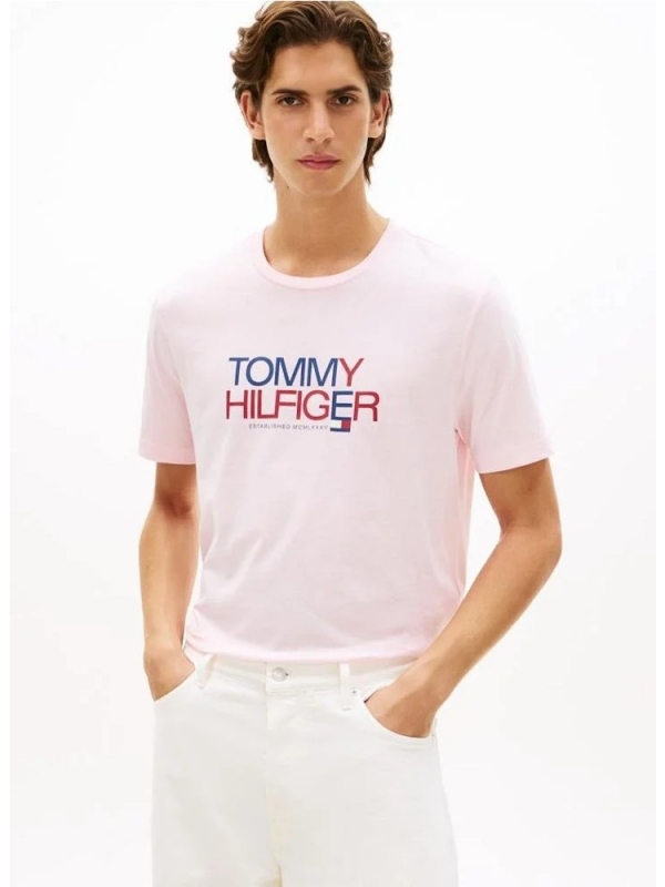 Camiseta TOMMY HILFIGER MW0MW42369