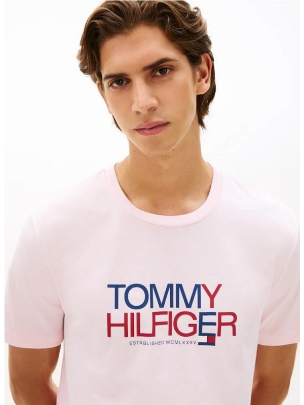 Camiseta TOMMY HILFIGER MW0MW42369