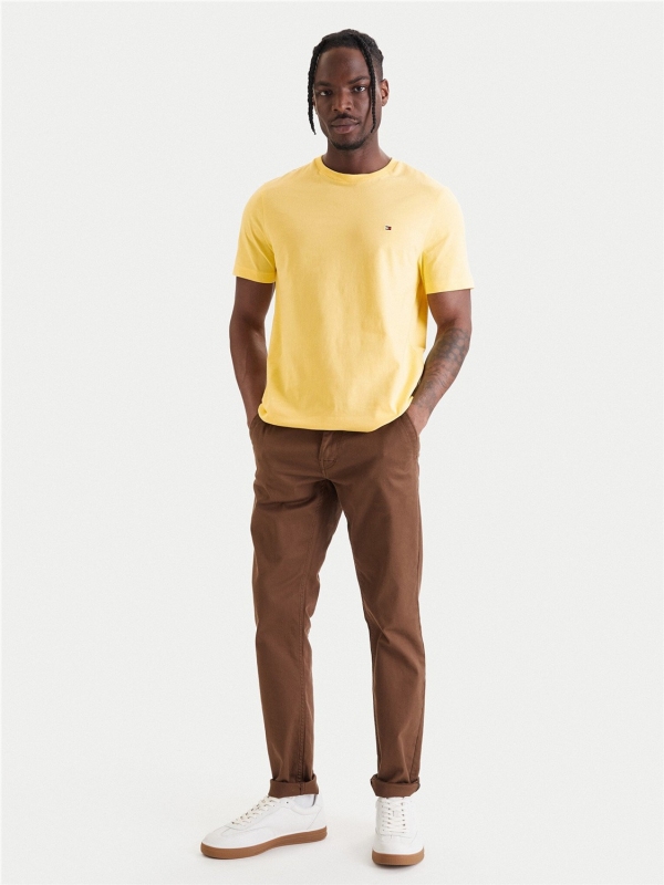 Camiseta TOMMY HILFIGER MW0MW39995