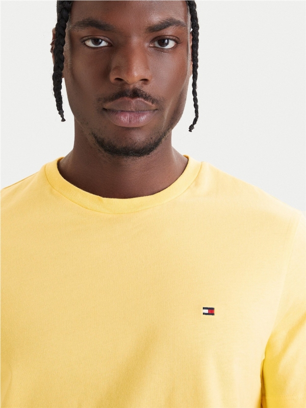 Camiseta TOMMY HILFIGER MW0MW39995