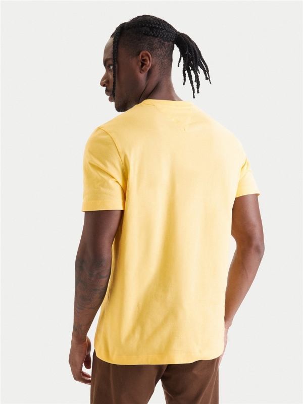 Camiseta TOMMY HILFIGER MW0MW39995