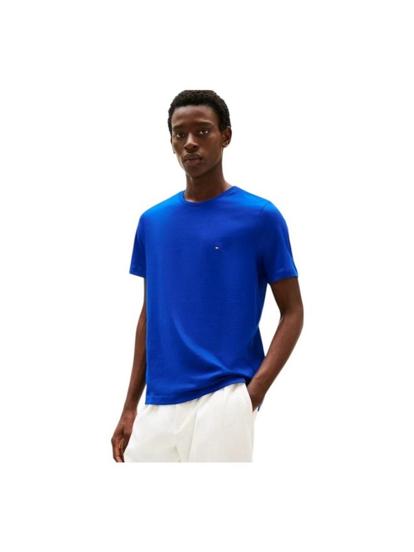 Camiseta TOMMY HILFIGER MW0MW39995