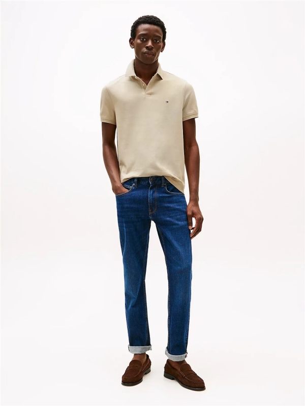 Polo TOMMY HILFIGER MW0MW17770