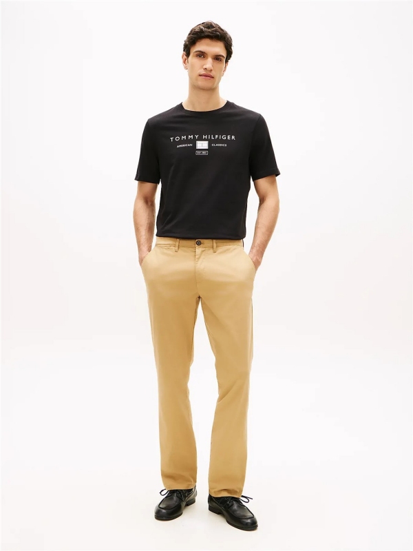 Camiseta TOMMY HILFIGER MW0MW42365