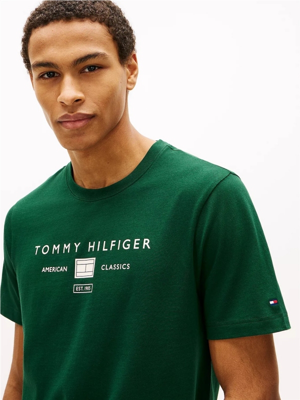 Camiseta TOMMY HILFIGER MW0MW42365