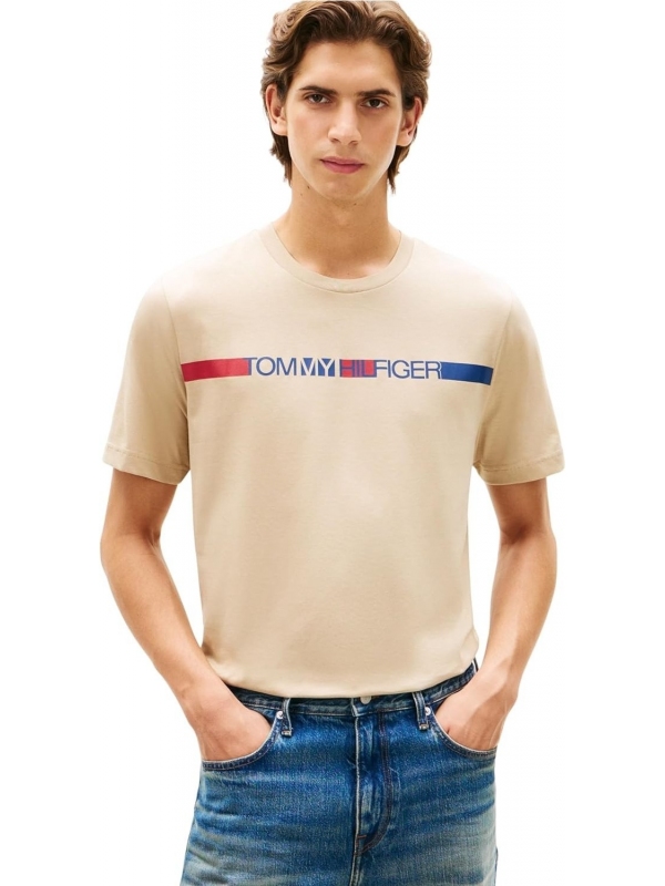 Camiseta TOMMY HILFIGER MW0MW42368