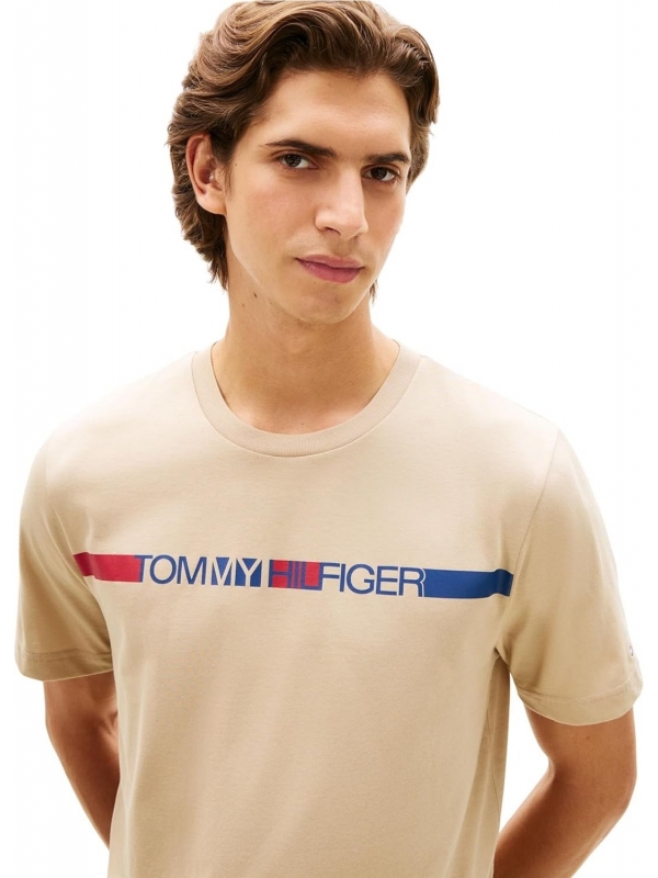 Camiseta TOMMY HILFIGER MW0MW42368