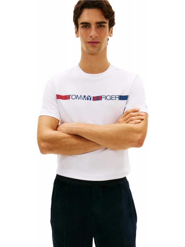 Camiseta TOMMY HILFIGER MW0MW42368
