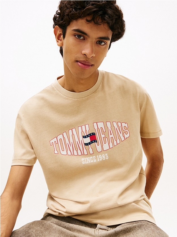Camiseta TOMMY JEANS DM0DM22520