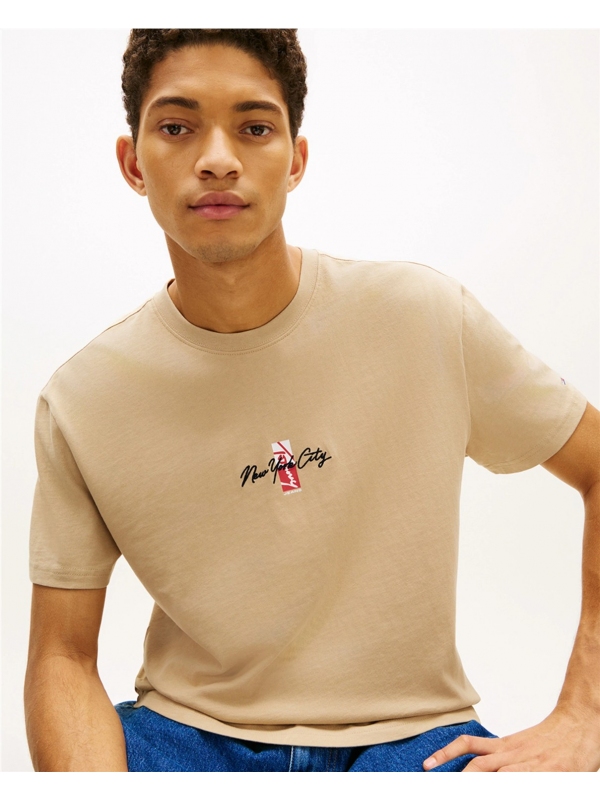 Camiseta TOMMY JEANS DM0DM22532