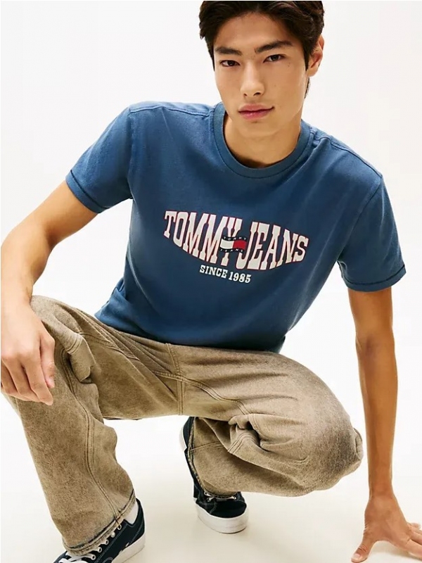 Camiseta TOMMY JEANS DM0DM22520