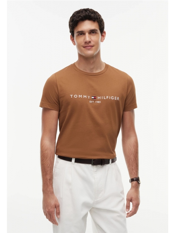 Camiseta TOMMY HILFIGER MW0MW11797