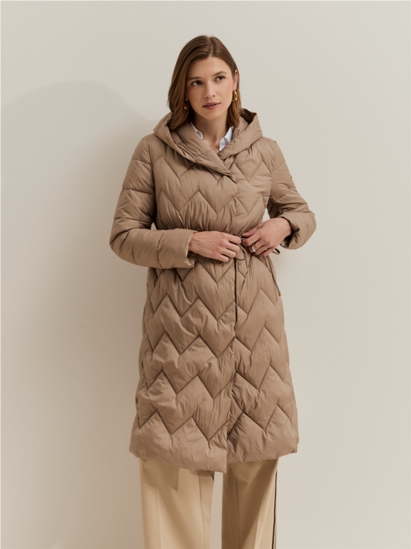 Chaqueta LION OF PORCHES... 2
