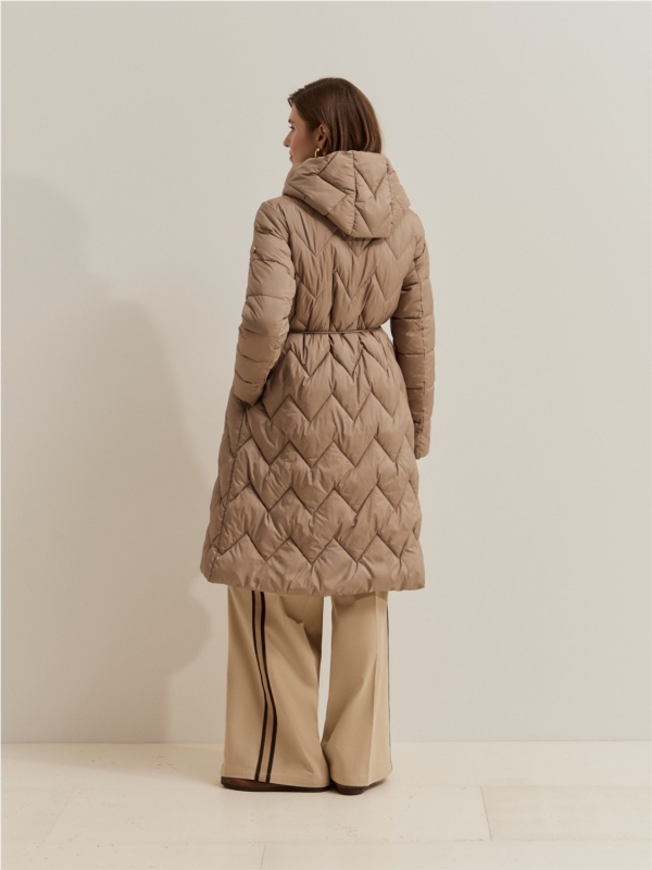 Chaqueta LION OF PORCHES LP007873