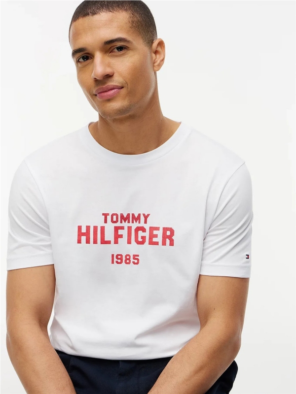 Camiseta TOMMY HILFIGER MW0MW44877