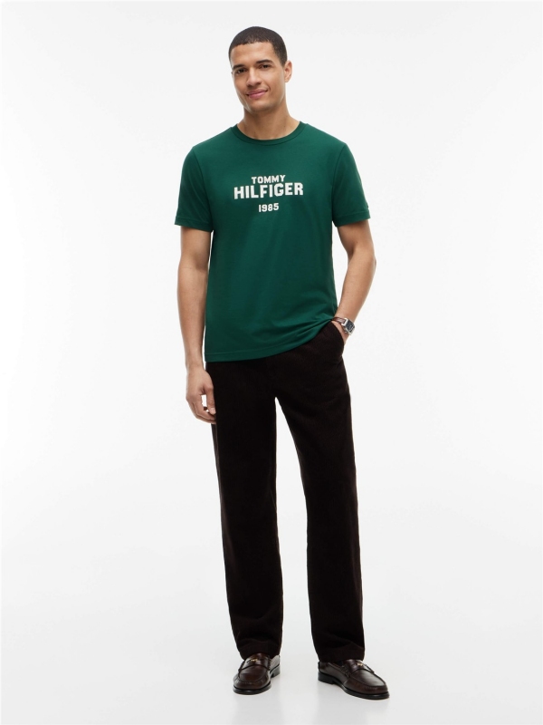 Camiseta TOMMY HILFIGER MW0MW44877
