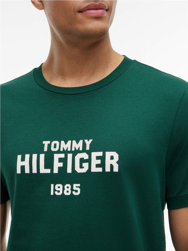 Camiseta TOMMY HILFIGER MW0MW44877