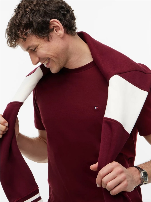 Camiseta TOMMY HILFIGER MW0MW39995